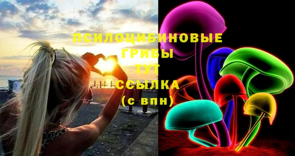 apvp Медногорск