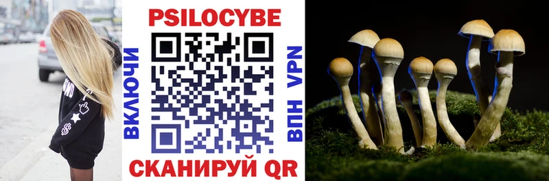 наркошоп  Пошехонье  Псилоцибиновые грибы Psilocybine cubensis 