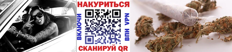 Конопля план Пошехонье